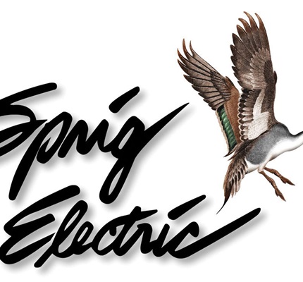Using Tech To Find Success: Sprig Electric 