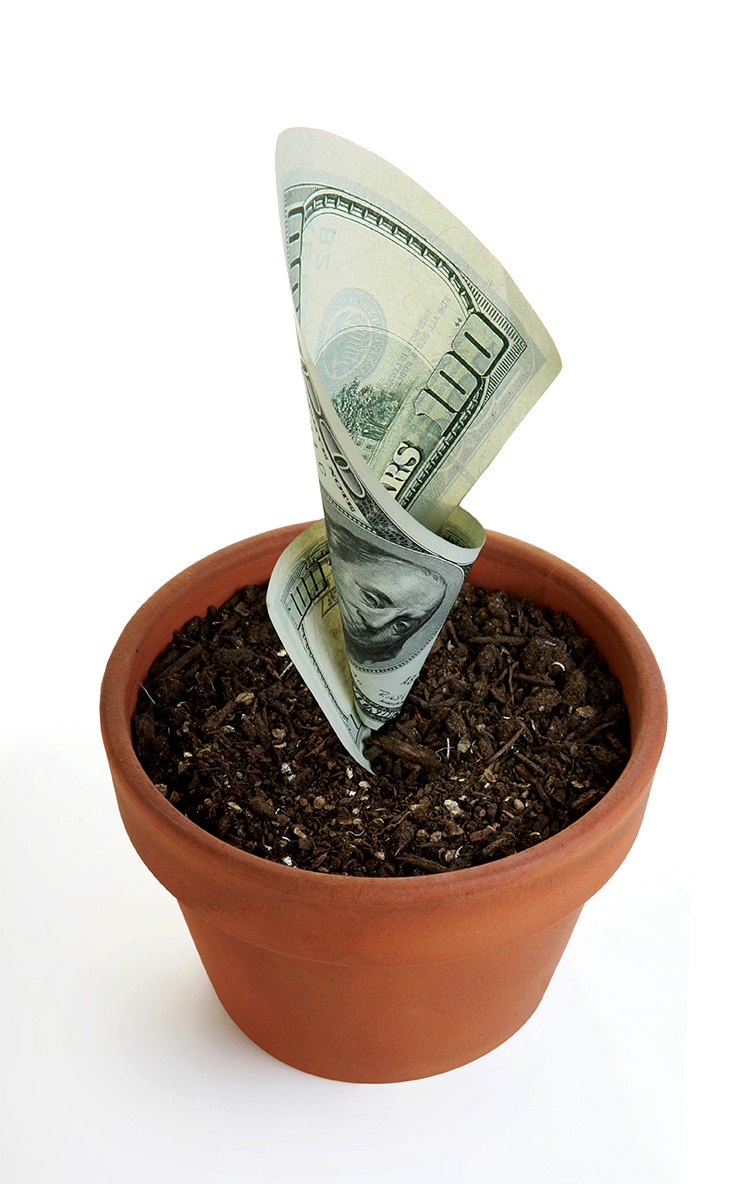 pot_money_growth_annuity_iStock_000001581950_Full.jpg