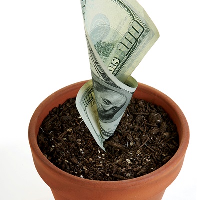 Due Diligence, Due Reward