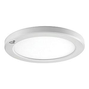 Leviton's Downlight