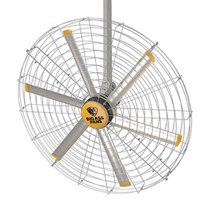 0223_New_fan