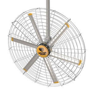 Big Ass Fans’ Fan