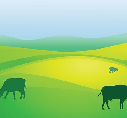 Old MacDonald Has a Solar Farm: Agrivoltaics enables more efficient use of farmland