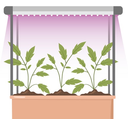 Cultivating With Light: Controlled environment agriculture drives product innovation, energy savings and installation opportunities
