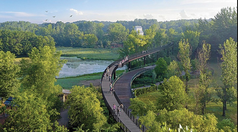 F6a_TreetopTrail rendering