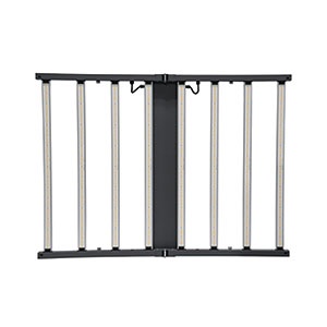 LEDvance’s Grow Light