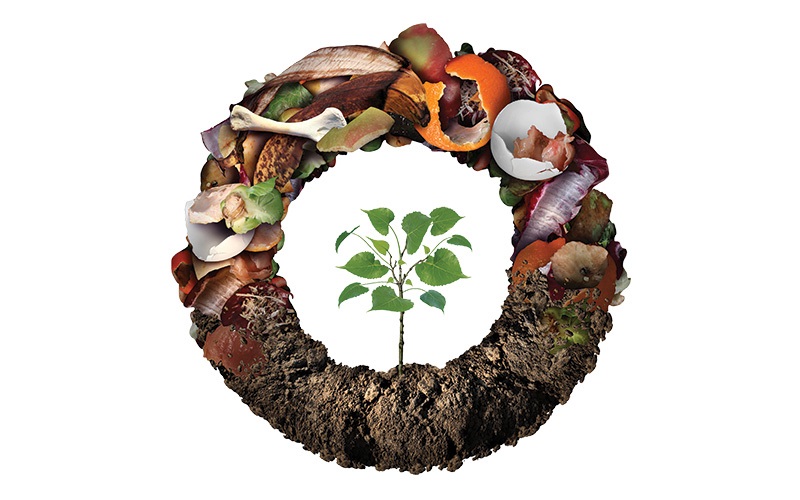 Shutterstock / Aneta Waberska/ stock.adobe.com / freshidea