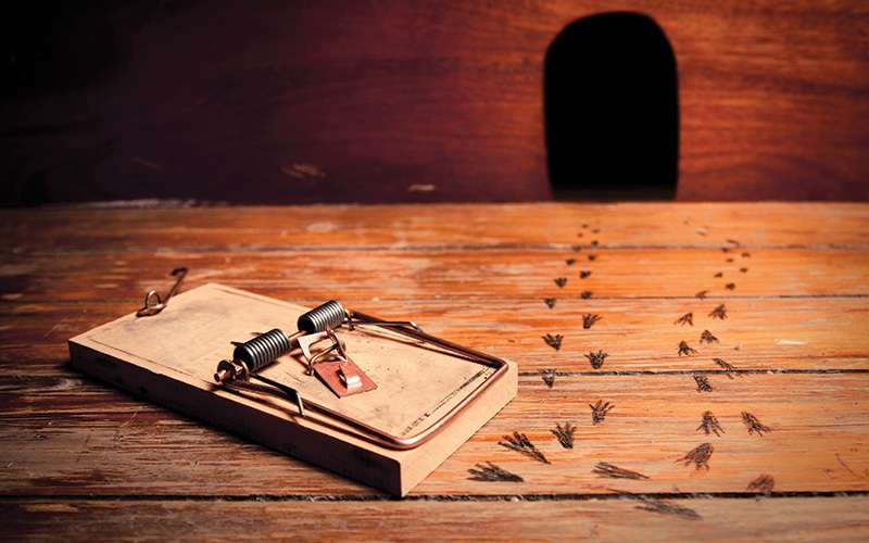 A mousetrap next to mouse footprints leading to a small hole in the wall. Image: STOCK.ADOBE.COM / FERGREGORY