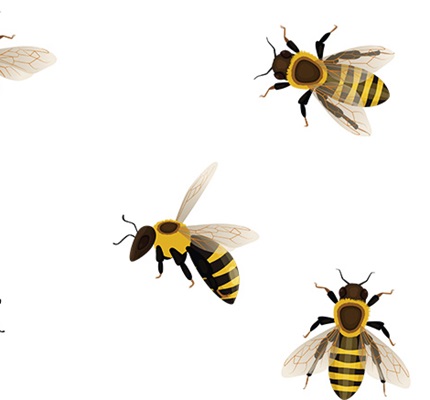 A Safe and Sane Response to Stings: What to do when you encounter bees, wasps and hornets on the job