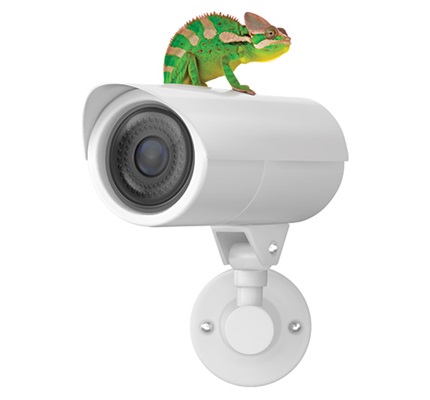 Change Is Certain: Physical security is a chameleon in action