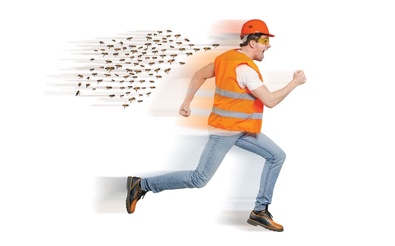 From Swarming Bees to Frostbite: Safety planning for the unexpected