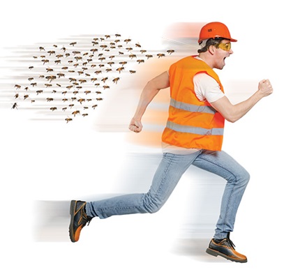 From Swarming Bees to Frostbite: Safety planning for the unexpected