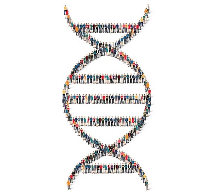 Your Company’s DNA