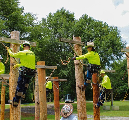 Rand Reports on State of U.S. Construction Apprenticeships