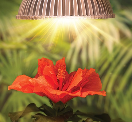 Building Lighting Efficiency: ASHRAE standard 90.1-2022 decoded