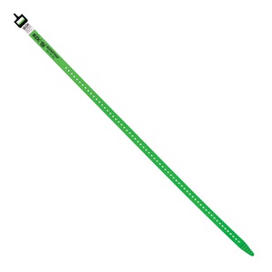buckingham strap