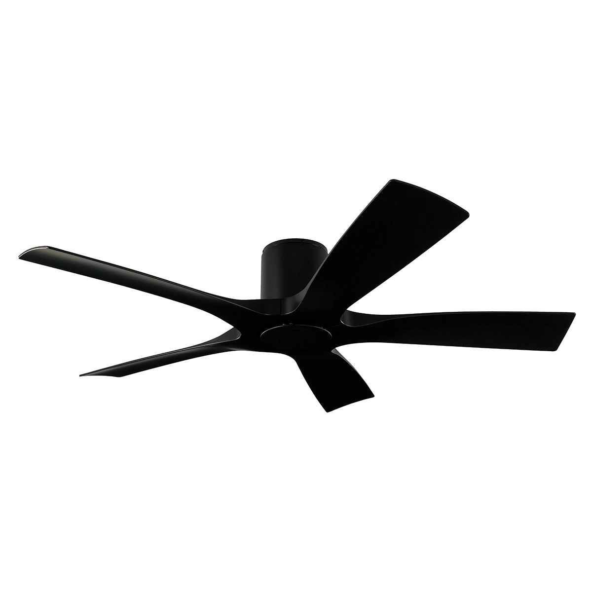 Modern Forms’ Fan