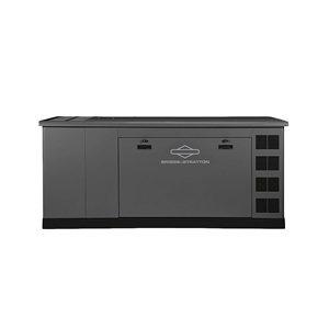 Briggs & Stratton’s Generator