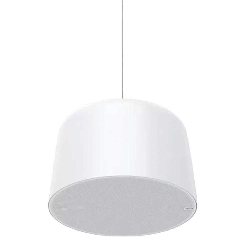 Axis Communications  C1510 Network Pendant Speaker