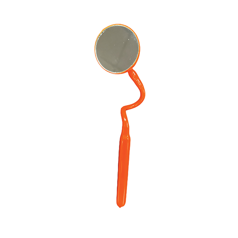 Cementex’s Inspection Mirror